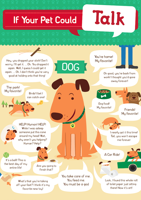 an essay on what if dogs could talk