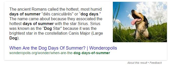 why called the dog days of summer