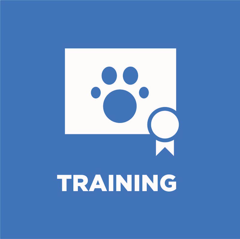 Dog Training