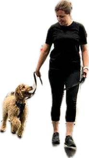 Subject 98 Testimonials at the Dog Stop